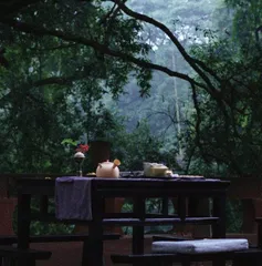 月色下的茶境