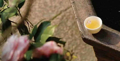 茶之隐喻 一盏含蓄的芳香