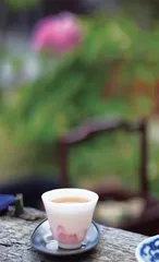 花下饮茶 诉不尽的气韵与风雅