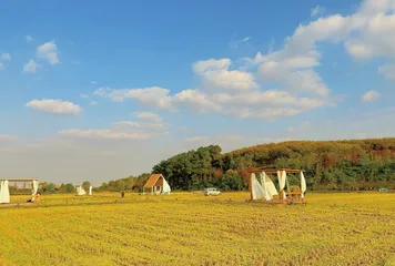 仙姑稻香山色叠　食宿田园间