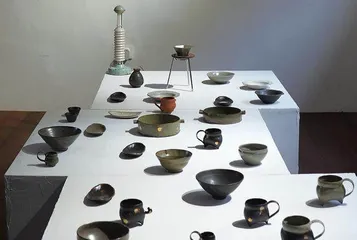 在土地里的生长