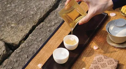 曾园：被忽视的茶文化入门书