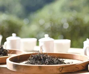“两片叶子”再续山海情