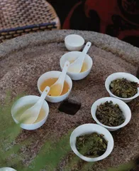 茶中隐士，得水成仙