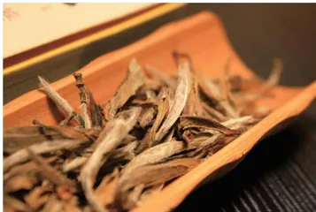 和我喝茶的人2