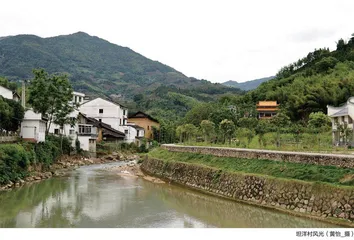 坦洋印象：茶乡百年荣光，续写不老传奇