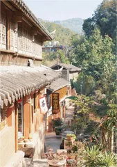 普洱那柯里：时光深处的茶马故事