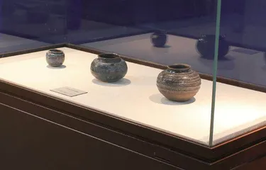 日本国宝中的茶入来自中国福建？
