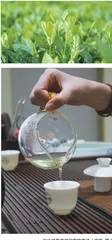 白沙茶业:这“叶”风景独好,生态价值拉满4
