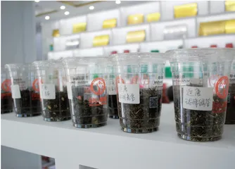 白沙茶业:这“叶”风景独好,生态价值拉满5