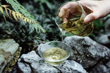 在自然中浸润出的茶滋味