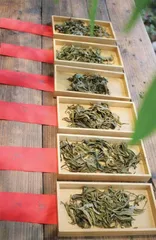 在云端，品“云”茶