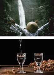 问酒哪得清雅许，为有“缘”头活水来
