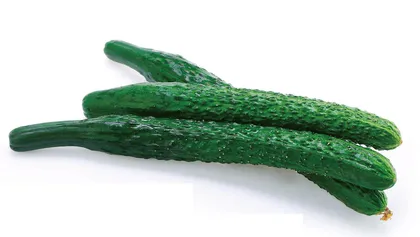 金樽甘露，玉盎黄瓜