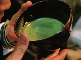挑战与破局，中国抹茶的新“绿”动