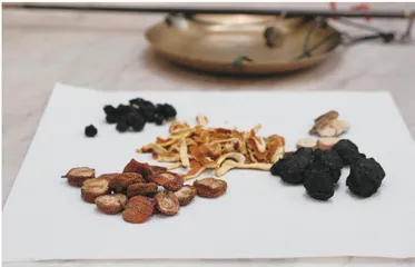 一生草木间,茶心济天下2