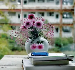 春未央，开自己的花吧