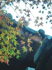 岁月流转方知人生真味