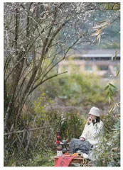 梅花似雪，红泥炉边慢煮茶