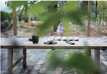 茶悦四季:在一杯茶里,感知四时律动1