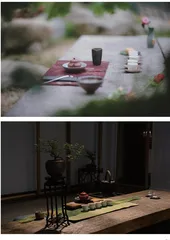 茶悦四季:在一杯茶里,感知四时律动3