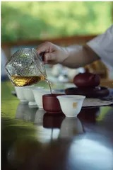 茶悦四季:在一杯茶里,感知四时律动4