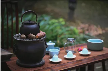 茶悦四季:在一杯茶里,感知四时律动5