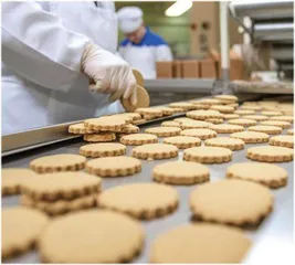 新工科建设背景下食品工艺学课程思政实践探索