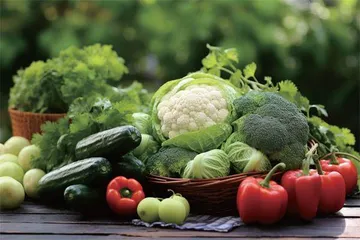 植物性食品在非肉类饮食中的作用及其对健康的影响