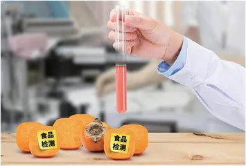 食品检测中现代检测技术的应用与分析