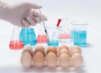 伦理视角下食品安全问题的成因与对策