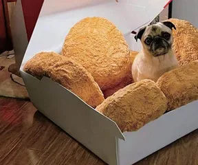 速览