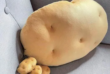 速览