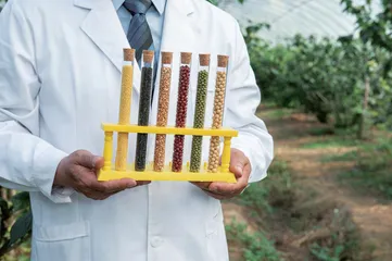 种业制度再完善