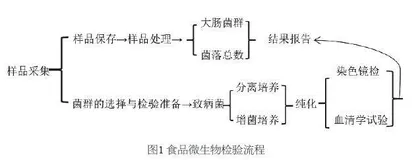 食品微生物检验的质量控制措施