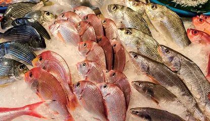 海洋食品质量安全问题与应对对策分析