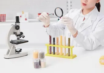 食品检测应用的影响与检测工作风险防控措施
