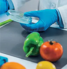 探究国内食品质量管理存在的问题与对策