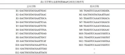 SRAP标记的野生油茶种质遗传多样性研究