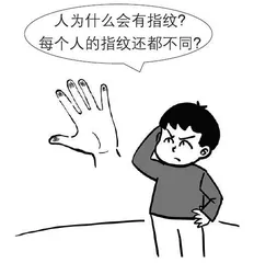 关于身体的奥秘