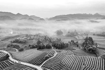 绿浪衔山