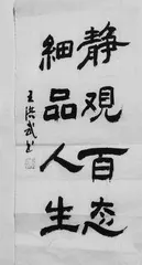 静观百态　细品人生