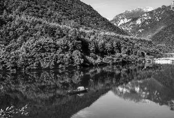青山绿水