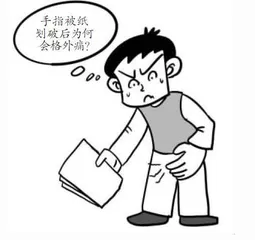 关于身体的奥秘
