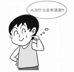 关于身体的奥秘