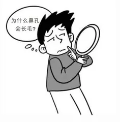关于身体的奥秘