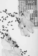 国医大师徐经世用敷脐法治疗疑难杂症验方