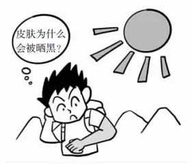 关于身体的奥秘