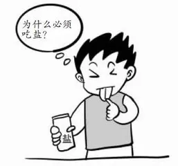 关于身体的奥秘