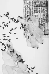 名中医治疗膝痹（骨关节炎）